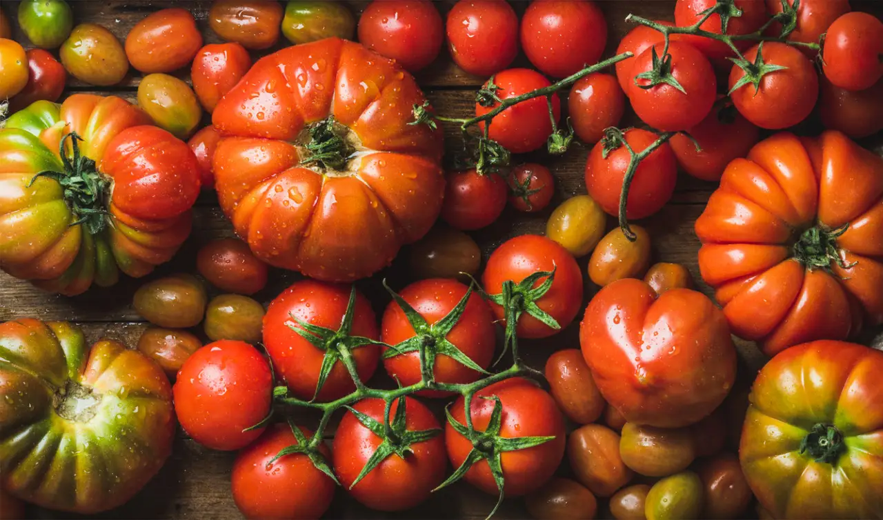 Come ottenere pomodori più dolci e succosi in vaso: il trucco pratico per la stagione estiva Come ottenere pomodori più dolci e succosi in vaso: il trucco pratico per la stagione estiva
