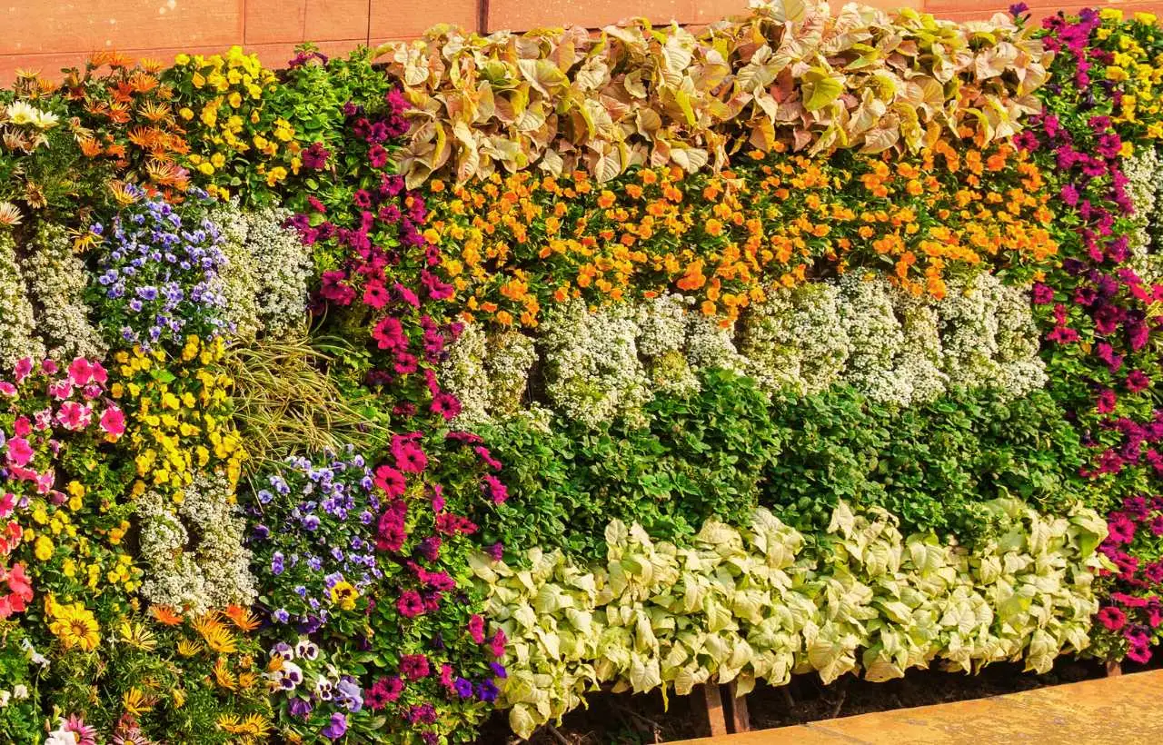 Arredare il terrazzo con fioriere verticali: idee smart per uno spazio verde estivo senza fatica Arredare il terrazzo con fioriere verticali: idee smart per uno spazio verde estivo senza fatica