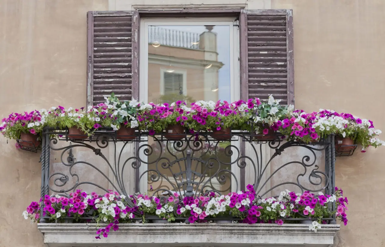 Fiori che sbocciano di sera: le specie profumate da piantare ora per serate magiche sul balcone Fiori che sbocciano di sera: le specie profumate da piantare ora per serate magiche sul balcone